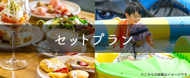 【2026☆春セール】セットプラン