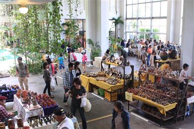 3月20日（金）から3日間、県内最大規模の陶器市がホテルムーンビ