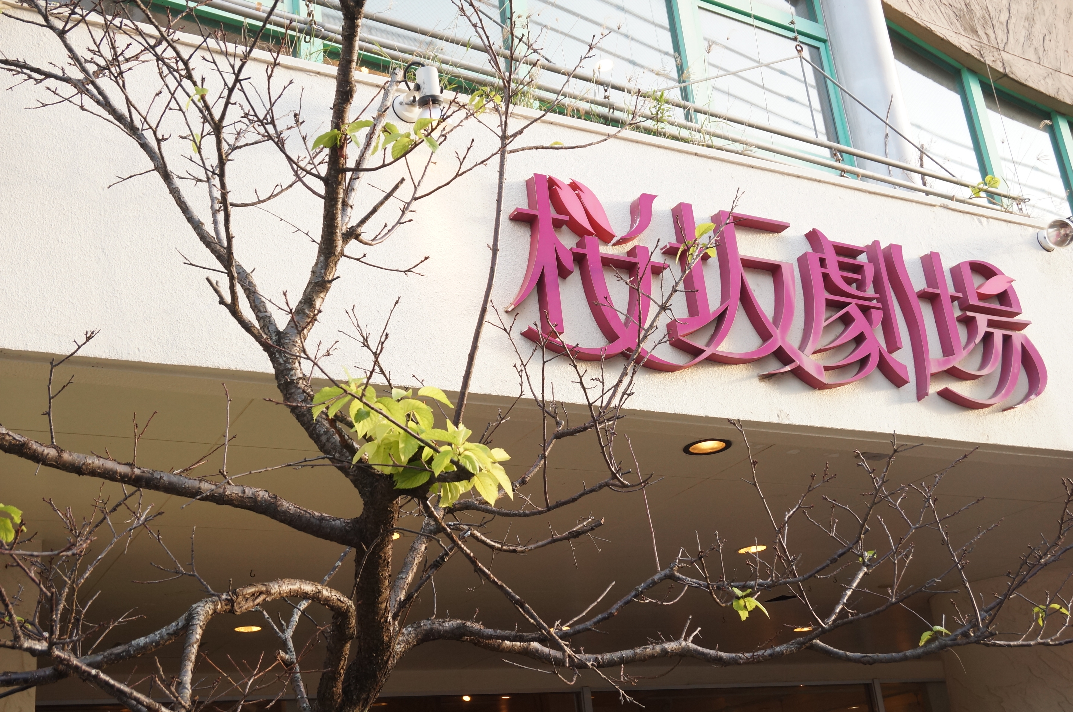 上映される会場は那覇市牧志にある桜坂劇場