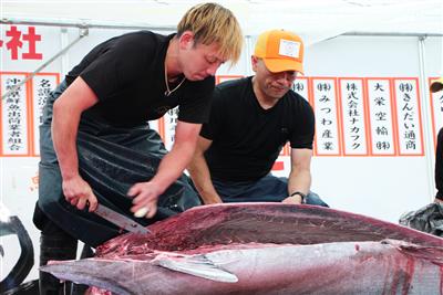 泊いゆまちで「父の日お魚フェア～本まぐろ祭り～」が開催