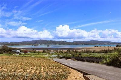 屋我地島で「やがじ祭り」が開催！離島の自然を活かした体験やマルシ