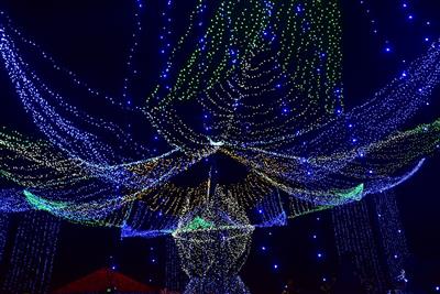 【中学生以下無料！】ピースフルイルミネーション2019-2020