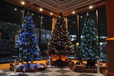 「オクマ プライベートビーチ ＆ リゾート」で南国リゾートの自然