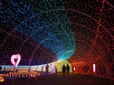 美らSUNビーチの目の前！豊崎海浜公園で「光のガーデンイルミネー