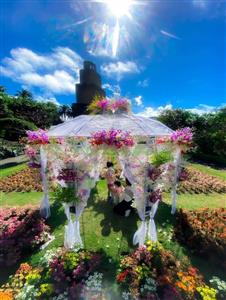 世界各国の様々なランが熱帯ドリームセンターを彩る♪「沖縄国際洋蘭