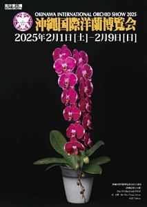 その数なんと約2万点！世界各国の様々なランを見られる「沖縄国際洋