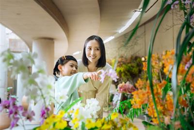 その数なんと約2万点！世界各国の様々なランを見られる「沖縄国際洋