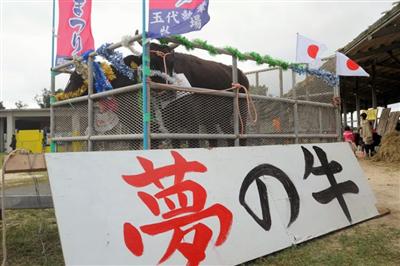 石垣牛の丸焼きや牛汁を満喫できる「黒島牛まつり」が開催！