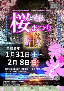 世界遺産・今帰仁城跡が美しい桜に包まれる！夜桜も美しい「第19回