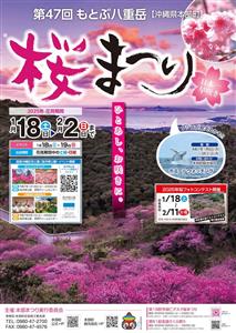 鮮やかな海と桜のコントラストが楽しめる！「第47回 もとぶ八重岳