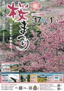 鮮やかな海と桜のコントラストが楽しめる！「第48回 もとぶ八重岳