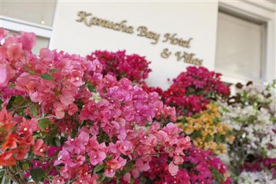 カヌチャリゾートで「花」をテーマとした「ハナナフォトコンテスト」