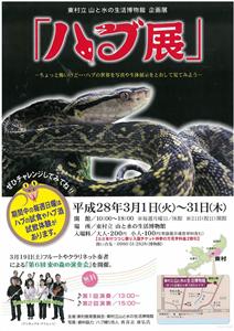 東村にある山と水の生活博物館で「ハブ展」が開催！ハブの試食やハブ