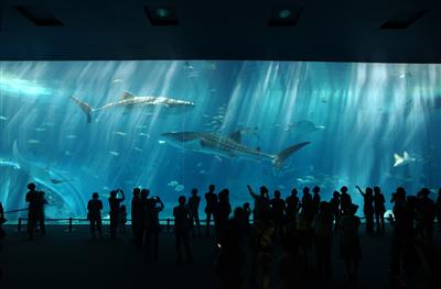 5月4日（水・祝）、5日（木・祝）限定！小中学生は「沖縄美ら海水