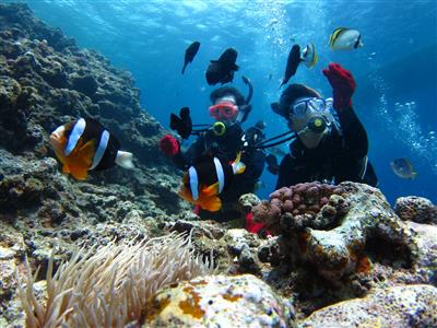 【59％OFF】お得な県民限定プラン！2日間で取れるダイビングラ