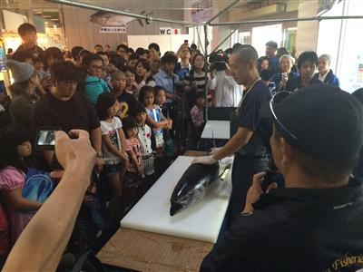 10月10日は「まぐろの日」！10月8日～10日の3日間、泊いゆ