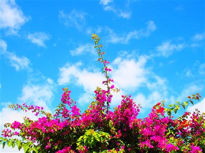 日常を忘れて。自分へのご褒美にぴったりなホテルレストランプランを