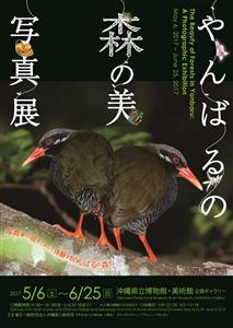 6月25日（日）まで「やんばるの森の美 写真展」開催
