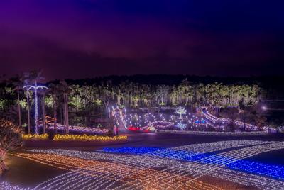 【12月23日(土)・24日(日)限定】イルミネーション2件はし