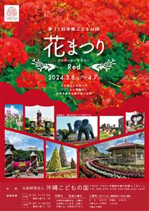 春満開！3万株以上の色鮮やかな花々が咲き誇る「第13回 沖縄こど