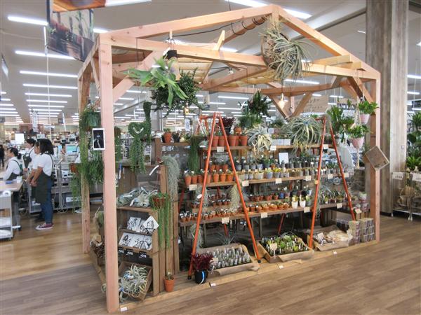 カインズ最新型店舗「カインズABLOうるま店」うるま市にオープン
