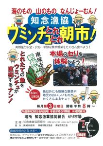 第3日曜日は、セリ体験やまぐろ解体ショーが楽しめる！｢ウミンチュ