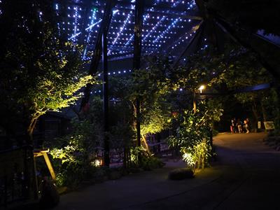 21時まで開園！夜の動物たちを観察できる「夜の動物園ーサタZOO