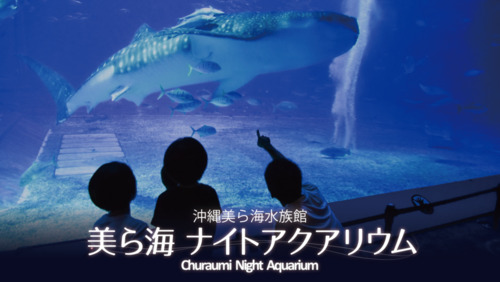 好評につき延長 幻想的な夜の水族館を楽しめる 美ら海ナイトアクアリウム が年2月28日 金 まで開催 おでかけ情報 ちゅらとく 好評につき延長 幻想的な夜の水族館を楽しめる 美ら海ナイトアクアリウム が年2月28日 金 まで開催 おでかけ情報 ちゅらとく