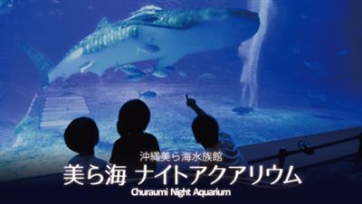 普段とはちょっと違う夜の海の様子を見てみよう♪「美ら海ナイトアク
