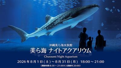 普段とはちょっと違う夜の海の様子を見てみよう♪「美ら海ナイトアク