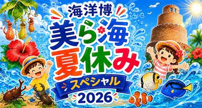 夏休みは海洋博公園に行こう♪遊んで、学んで、感動する体験がいっぱ