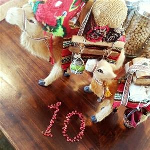 「Lamp」10周年祭 ～Special Live 二階堂和美～