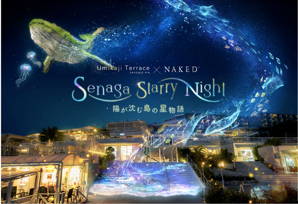 Senaga Starry Night - 陽が沈む島の星物