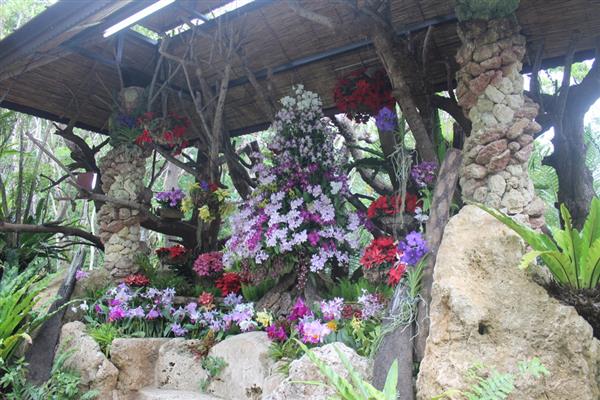 沖繩ならではのクリスマスを楽しめる♪亜熱帯の花にかこまれた「花の