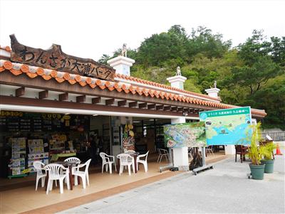 第2回 わんさか嘉例祭～2019年はぎょうざでかりー！