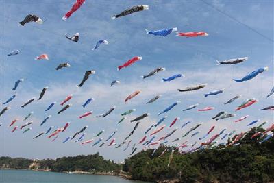 約200匹が悠々と泳ぐ姿は圧巻！比謝川上空に色鮮やかな鯉のぼりを