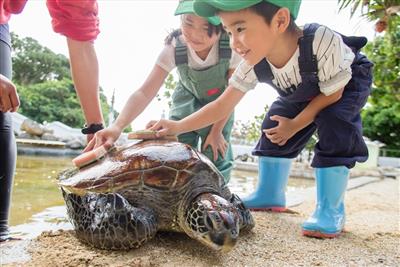 GWは「もとぶ元気村」に行こう！楽しみながら学べるお仕事体験に可