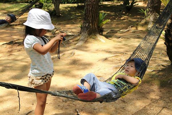 ゴールデンウィーク中は、子どもの入場料無料！お得に楽しめるスポッ