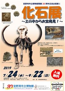マンモスや恐竜の化石も登場！博物館開館20年記念企画展I「化石展