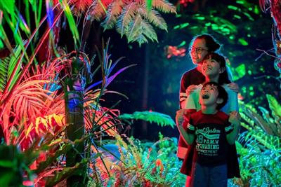 県内初！植物・光・音が融合した植物プロジェクションマッピングを体