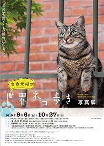 世界各国のネコちゃん大集合！「岩合光昭の世界ネコ歩き」写真展開催