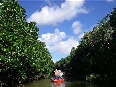 【3月までの限定割引】2人ならさらにお得になる「ペア割」アクティ
