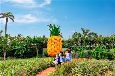 入園料が半額！ナゴパイナップルパークや古宇利オーシャンタワーでお