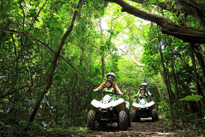 【8月3連休】緑に囲まれた森に、太陽に照らされ輝く青い海！大自然