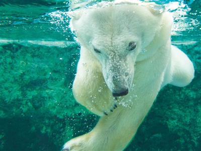 宿泊費＆飛行機代込み、さらに温泉にグルメや観光も！Go To ト