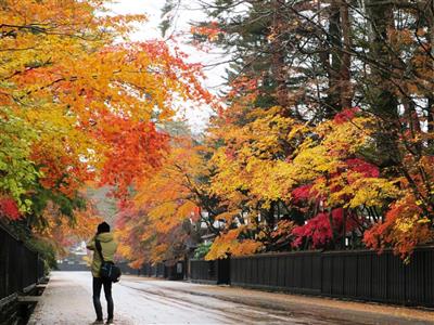 秋の風物詩「紅葉」に染まる絶景を見に行こう♪東北の魅力が詰まった