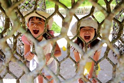 【GWイベント】亜熱帯の森で遊んで学べるビオスの丘でゴールデンウ