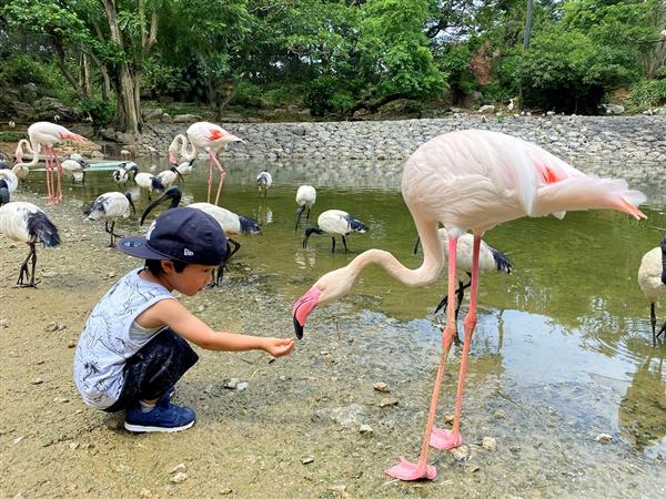 ファミリーにおすすめ！テーマパーク入場券付きのお得なホテル宿泊プ