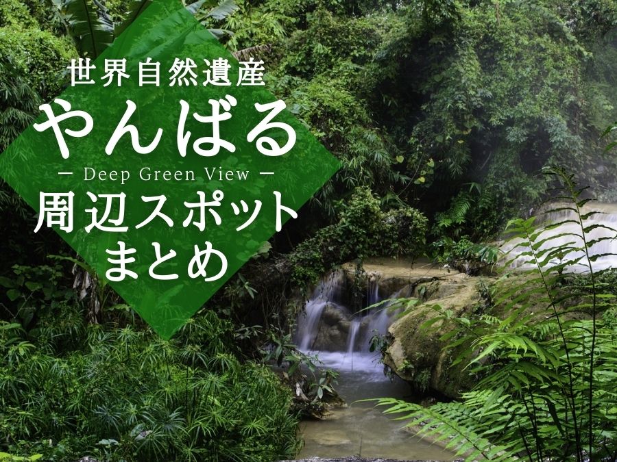 やんばる国立公園周辺スポットまとめ やんばる 世界自然遺産