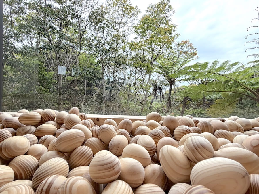 木のたまごの海